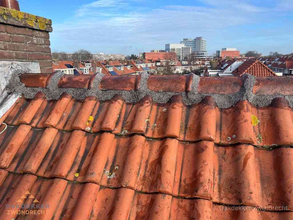 Nieuw bitumen plat dak met uitzicht over woonwijk in Zwijndrecht