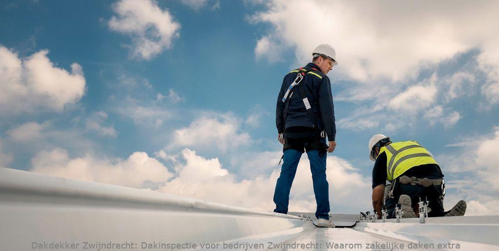 Dakinspectie Voor Bedrijven Zwijndrecht