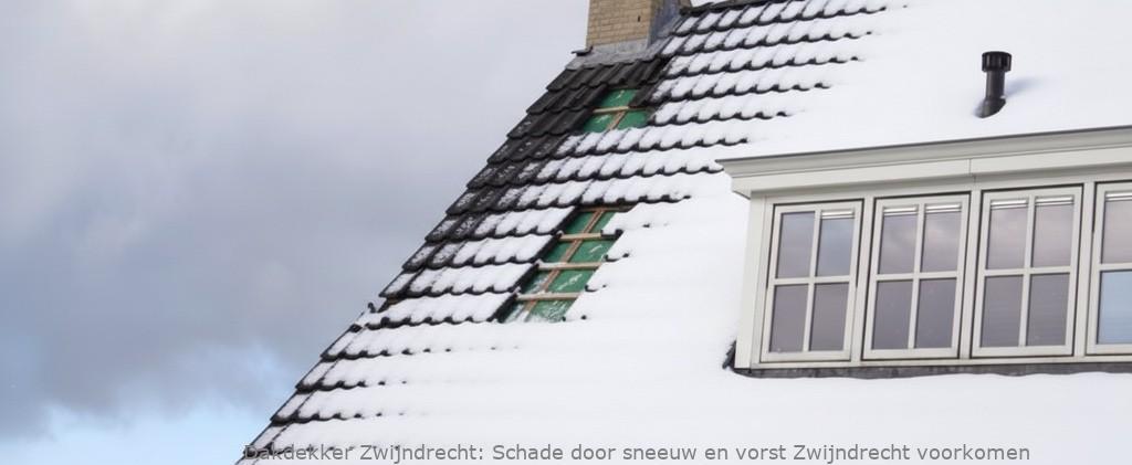 Schade Door Sneeuw En Vorst Zwijndrecht