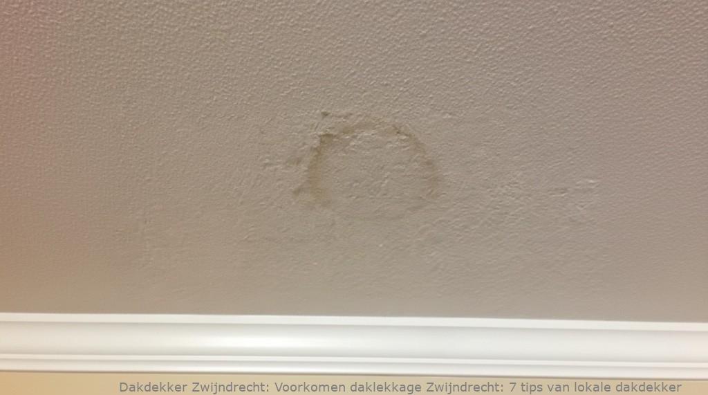 Voorkomen Daklekkage Zwijndrecht